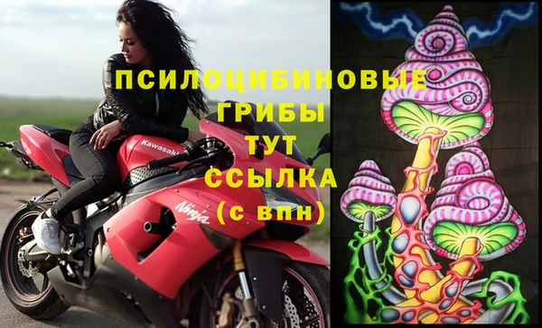 apvp Абинск