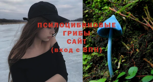сатива Абаза