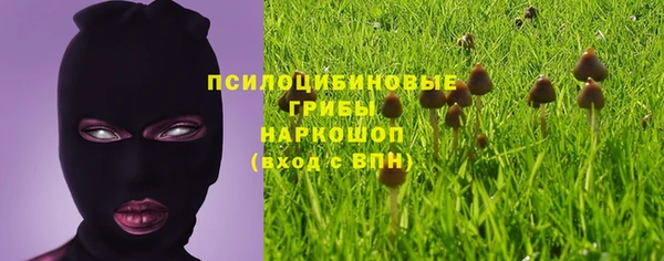 apvp Абинск