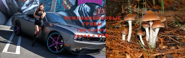 кокс Няндома