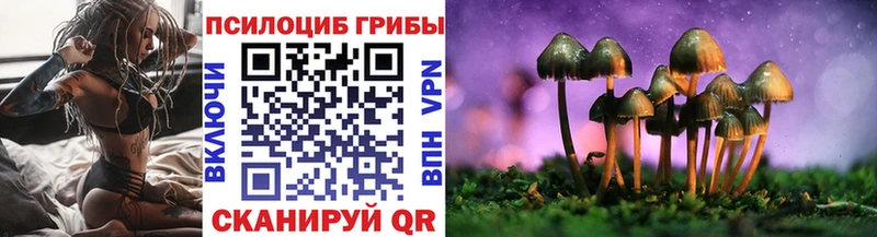 blacksprut tor  Южа  Псилоцибиновые грибы Cubensis 